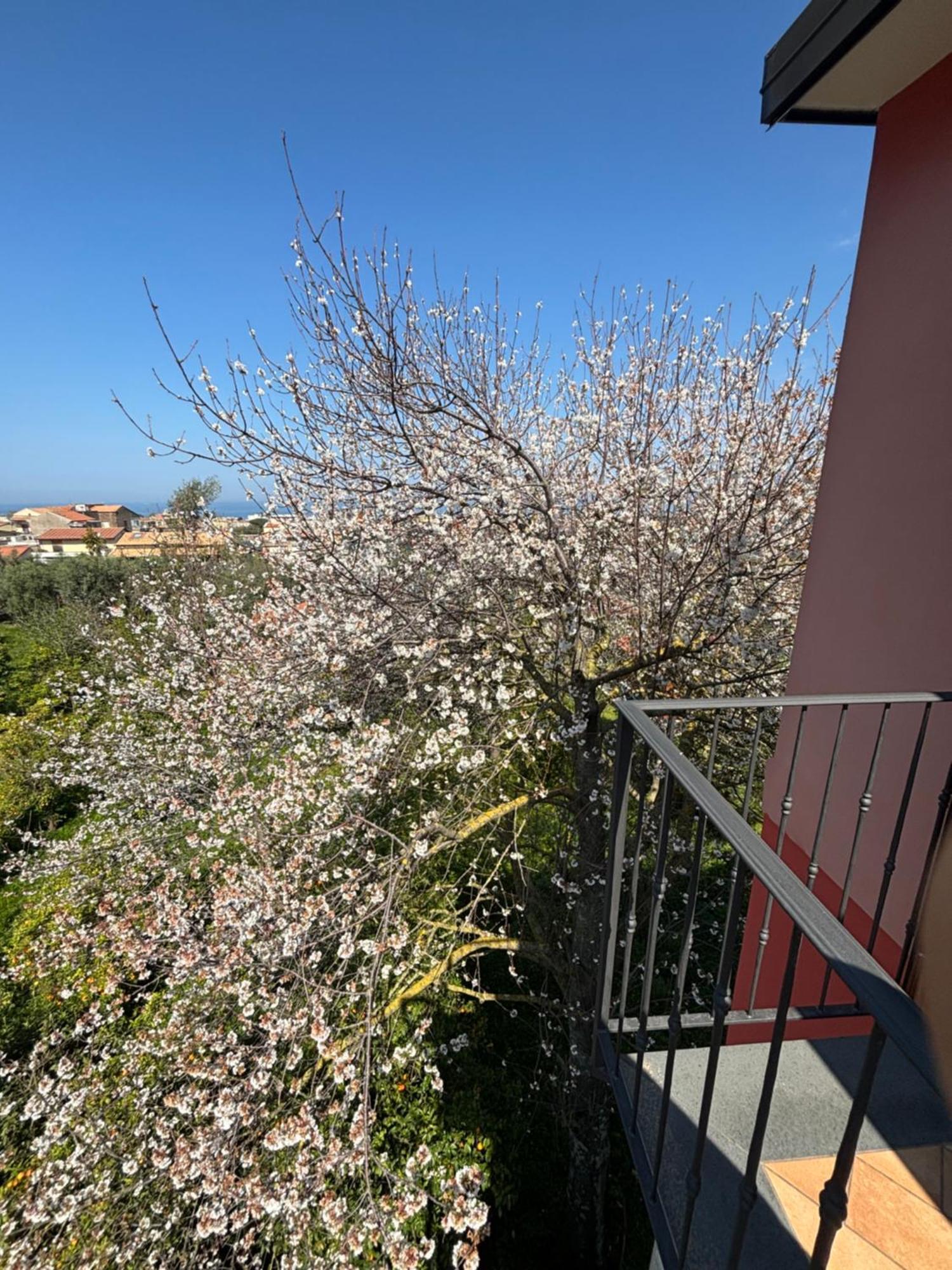 Intero Appartamento A Sant'Agnello , Le Ortensie מראה חיצוני תמונה